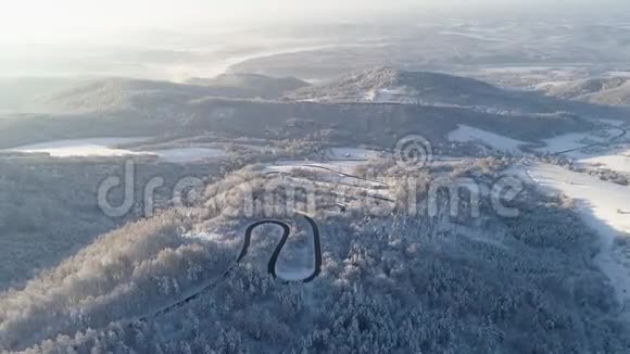 从空中俯瞰道路上的蛇在美丽的树木之间覆盖着雪视频的预览图