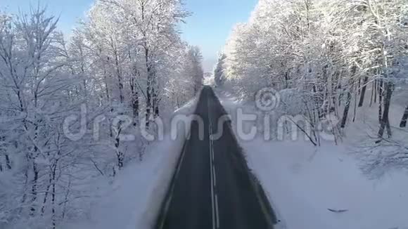 无人机在白雪覆盖的美丽树木之间拍摄了一条空路视频的预览图