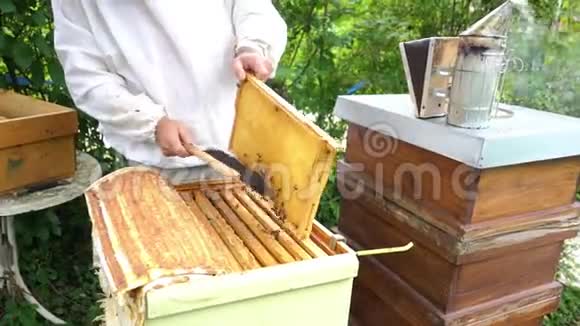 养蜂人从蜂巢里刷牙视频的预览图