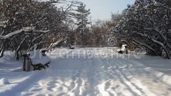 公园里的雪吹街视频的预览图