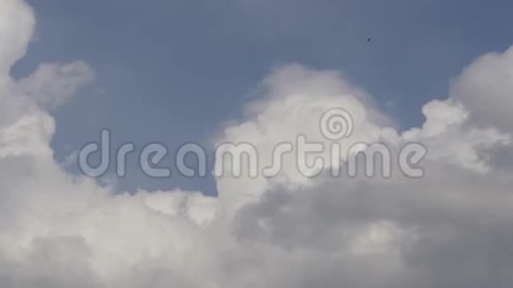 云运动视频视频的预览图