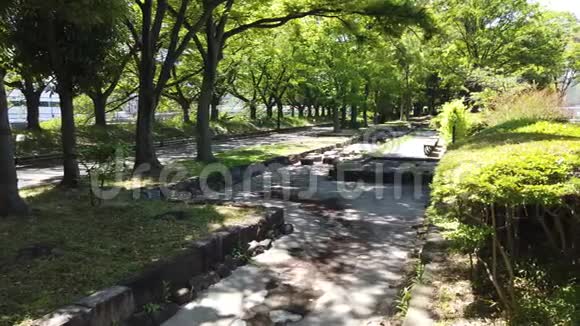 日本东京的SarueOnshi公园视频的预览图