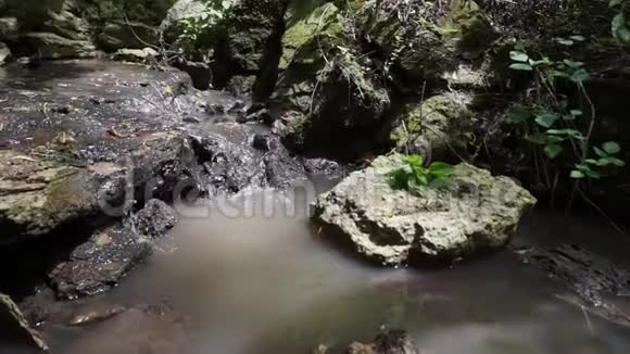 森林溪流流过苔藓的岩石视频的预览图