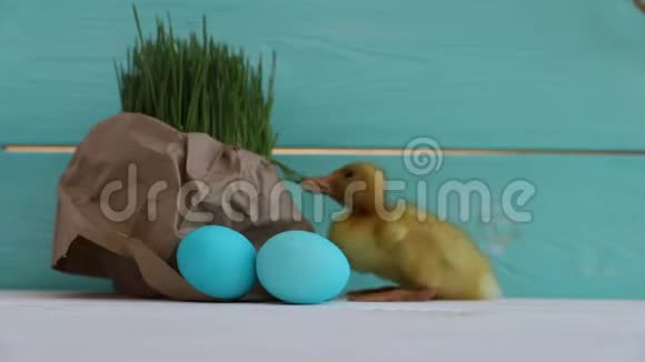 一个鸡蛋卷在一排鸡蛋的背景上复活节春季概念视频的预览图