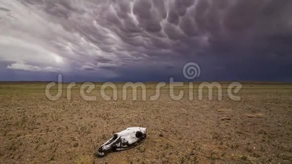 在暴风雨的天空背景下沙漠中的头骨时光流逝视频的预览图