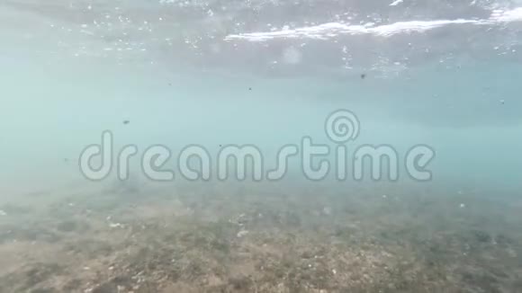 4k海底海浪在珊瑚礁上滚动和破碎的视频视频的预览图