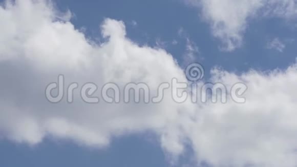 云运动视频视频的预览图