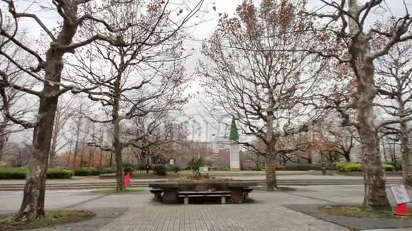 日本东京的SarueOnshi公园视频的预览图