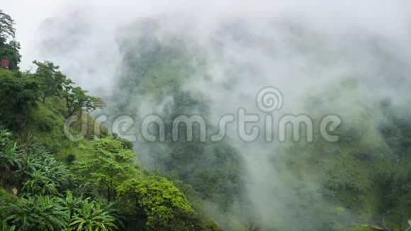 云层和雾气覆盖两山之间山谷的热带丛林森林的4k镜头视频的预览图