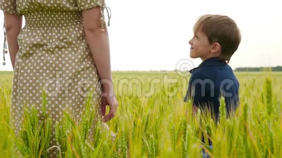 一位年轻的母亲和她的孩子站在麦田里孩子的手触摸着母亲手视频的预览图