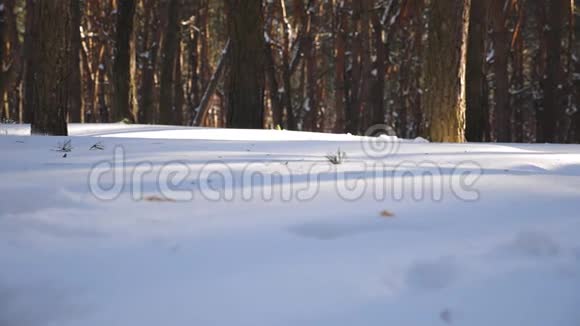 女足穿过冬林无法辨认的女孩在雪地上慢跑女人花时间视频的预览图