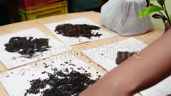 4k茶厂工人视频展示斯里兰卡不同种类的茶视频的预览图