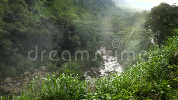 热带丛林森林两山之间山谷中的4k雾覆盖小河的视频视频的预览图