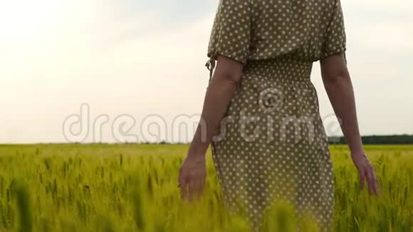 女孩双手特写女人走在麦田上在日落时轻轻地触摸耳朵的手指视频的预览图
