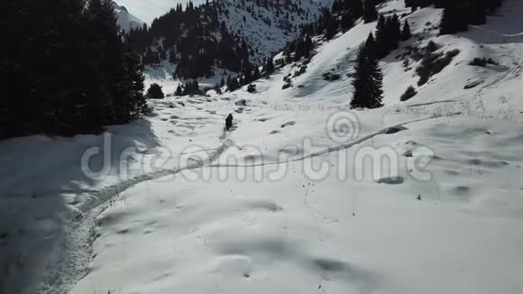 一群人沿着雪山上的一条小路走在森林里视频的预览图