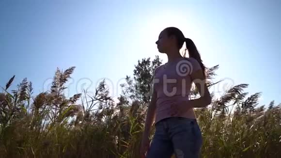 一个年轻苗条的女孩缓慢地把头发撒在田野里阳光照进照相机视频的预览图