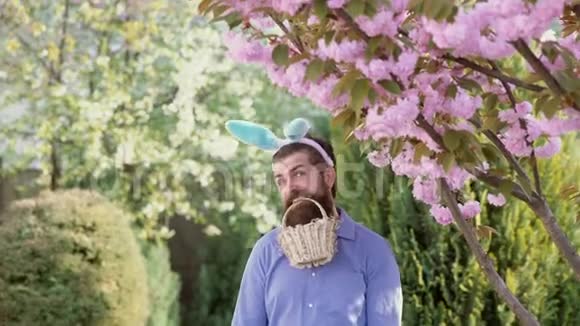 有趣的兔子在盛开的春天背景猎蛋和有趣的复活节复活节快乐有胡子的人视频的预览图