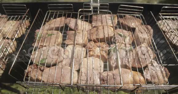 男厨炒菜新鲜肉烧烤烧烤烹饪户外野餐视频的预览图
