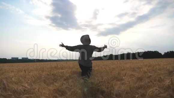 跟着幸福的年轻农艺师一边举手一边跑遍麦田无法辨认的农民在玩视频的预览图