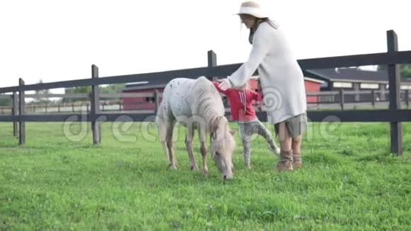 妈妈和她的小女儿正带着一匹小马在农场里走来走去视频的预览图