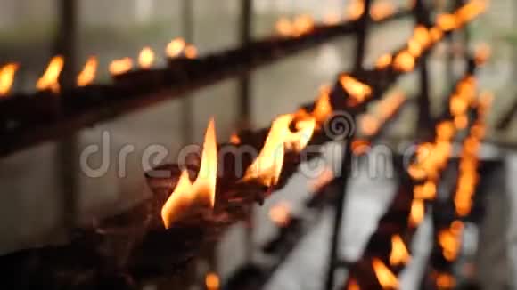 斯里兰卡佛教寺庙烧油灯的特写4k视频视频的预览图