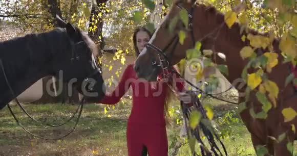 白种人的雌性马术运动员抱着两匹马的缰绳看着远处穿粉色衣服的小女孩阳光明媚视频的预览图