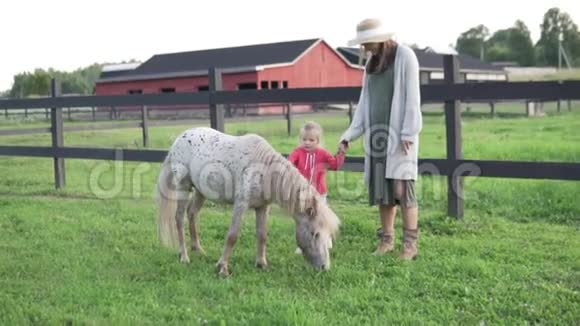 妈妈和她的小女儿在农场上抚摸一匹可爱的小马视频的预览图