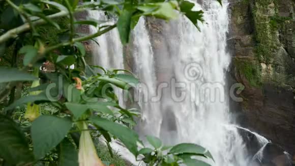 在丛林森林的美丽瀑布上透过热带树木观看4k视频视频的预览图