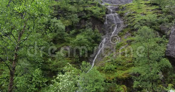 风景如画的山瀑布和苏格兰的传统自然视频的预览图