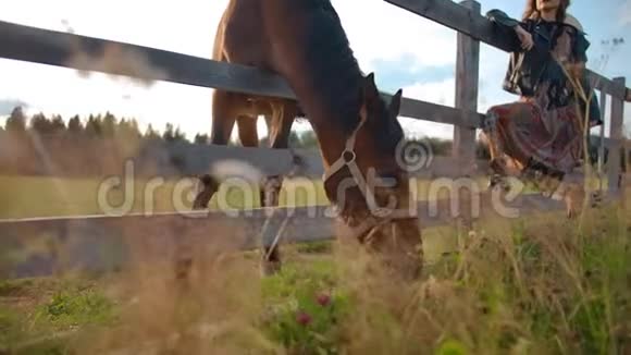 栗色马吃草接近庄稼女人视频的预览图