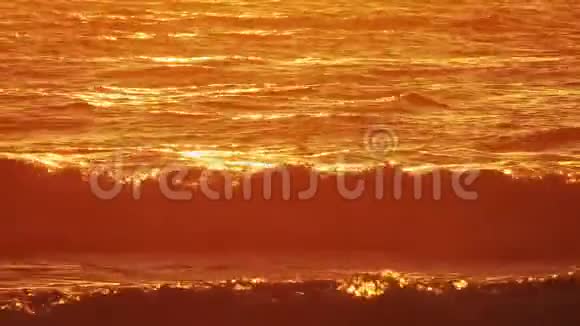 金色热带海滩日落视频的预览图