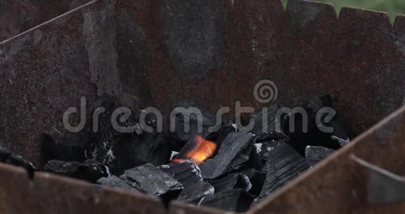 黑色木炭在近距离燃烧视频的预览图
