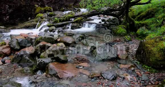 具有苏格兰传统性质的山河景观4K页视频的预览图