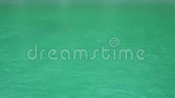 雨水滴在水池的绿水里视频的预览图