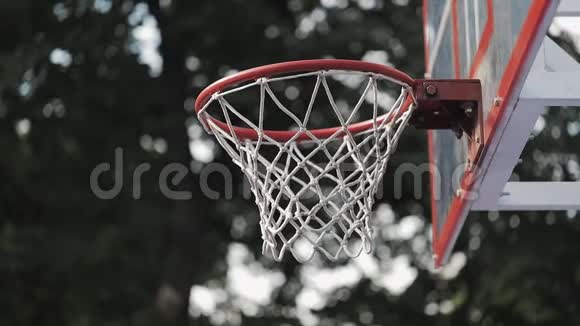 背景下篮球篮与树木的背面视图健康生活方式与运动理念视频的预览图