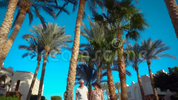 老两口在酒店旁的棕榈树下散步和交谈喜欢度假的人全都包括在内视频的预览图