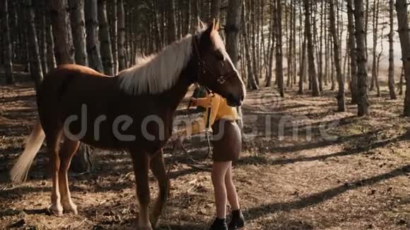 强壮的棕色和白色的马在训练中与女教练慢动作咀嚼草地视频的预览图
