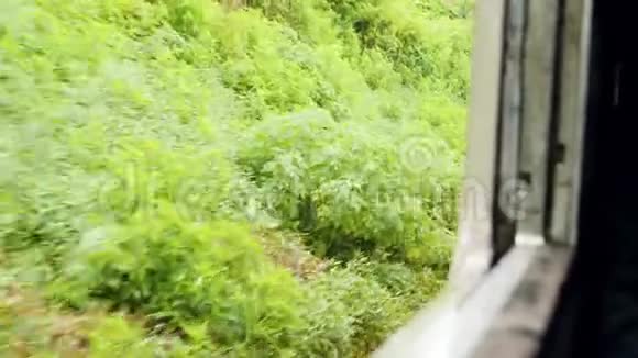 斯里兰卡Moutnain斜坡上生长的丛林森林的4k镜头直通车窗口视频的预览图