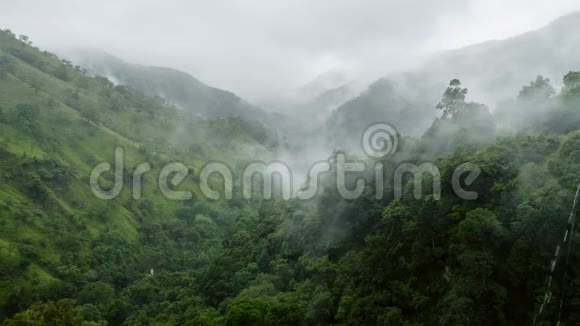 美丽的4k视频雨在热带丛林森林山谷视频的预览图