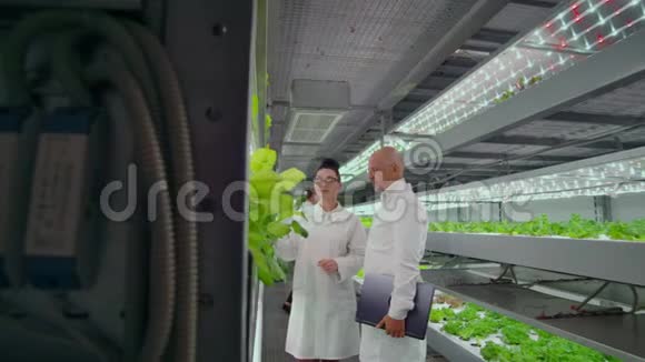 现代农场生产的科学家讨论了种植抗病植物的成功水培种植视频的预览图