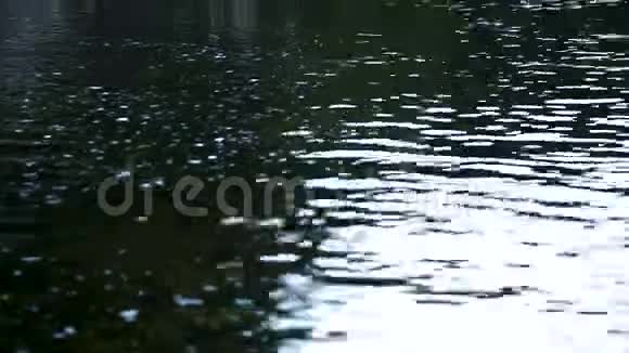 一个迷人的年轻黑发女人在一条原始的森林河里游泳视频的预览图