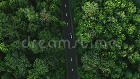 灰色的汽车沿着绿色的夏日森林行驶视频的预览图