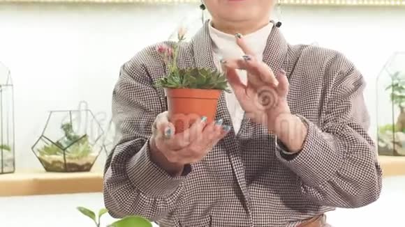 细心的女花店照顾植物视频的预览图