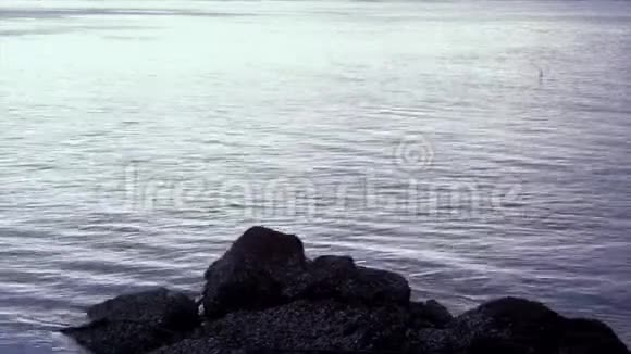 海洋海浪岩石阳光反射视频的预览图