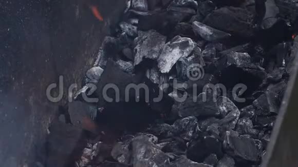 户外烧烤时燃烧过程煤视频的预览图
