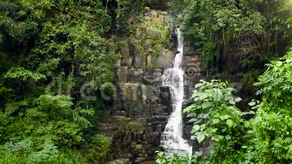 斯里兰卡热带丛林森林瀑布小水流视频视频的预览图
