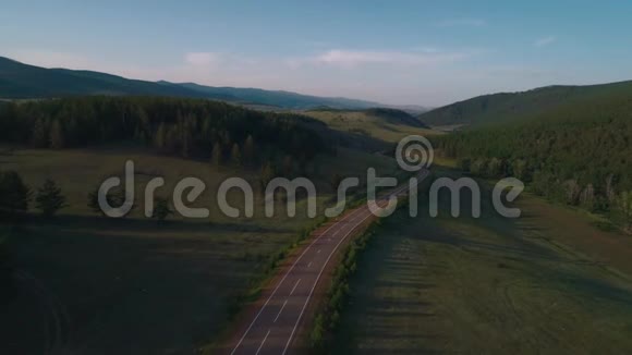 空中自上而下深色汽车行驶在一条沥青路上在阳光明媚的夏天穿过广阔的森林视频的预览图