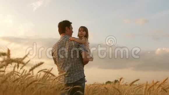父亲怀里的小女儿快乐的孩子和父亲正在成熟的小麦田里玩耍小男孩和爸爸视频的预览图