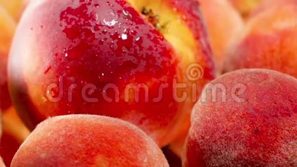 特写4k娃娃视频许多新鲜成熟的桃子和油桃有机食品的完美抽象背景视频的预览图
