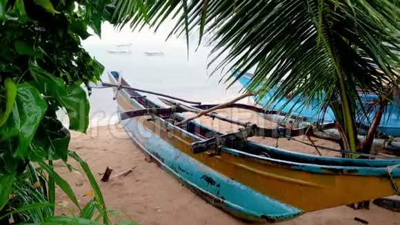 季节性暴雨期间棕榈树下沙滩传统渔船4k视频视频的预览图